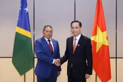 El miembro del Comité Central del Partido Comunista y ministro de Relaciones Exteriores de Vietnam, Le Hoai Trung, recibe al titular de Relaciones Exteriores y Comercio Exterior de las Islas Salomón, Peter Shanel Agovaka. (Fuente: Ministerio de Relaciones Exteriores de Vietnam)