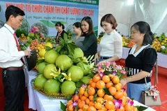 El Festival de la Fruta de Bac Ninh 2025 se celebrará del 5 al 10 de diciembre. (Foto: baobacninh) 