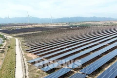 Desarrollo de energía solar en techos en la provincia vietnamita de Ninh Thuan. (Foto: VNA)