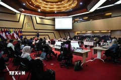 Vietnam asume rol clave como Coordinador de las relaciones ASEAN-Nueva Zelanda para el período 2024-2027 (Foto: VNA)