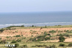 Vietnam ha dado grandes pasos para reactivar y acelerar el proyecto de la Central Nuclear de Ninh Thuan. (Foto: VNA)