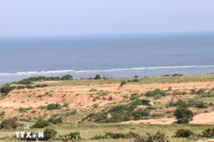 Vietnam ha dado grandes pasos para reactivar y acelerar el proyecto de la Central Nuclear de Ninh Thuan. (Foto: VNA)