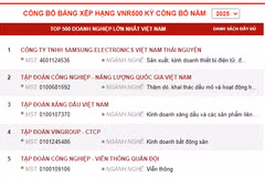 Vietnam Report revela las 500 empresas líderes de 2025. (Captura de la pantalla)