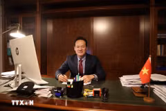 El embajador Mai Phan Dung, jefe de la Misión Permanente de Vietnam en Ginebra. (Foto: VNA)