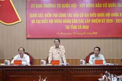 Comité Permanente del Parlamento de Vietnam supervisa preparativos electorales en provincia sureña de Ca Mau (Foto: VNA)