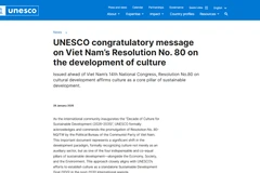 UNESCO aplaude resolución vietnamita sobre desarrollo cultural. Captura de la pantalla (Foto: VNA)