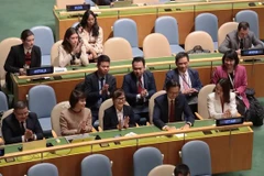La reelección de Vietnam como miembro del Consejo de Derechos Humanos de la ONU para el período 2026-2028 con un alto número de votos refleja la confianza de la comunidad internacional (Foto: VNA)