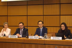 Embajador Do Hung Viet lidera diálogos con grupos regionales y OIEA en Viena. Prepara 11ª Conferencia de Revisión del TNP que se celebrará en abril de 2026. (Foto: VNA)