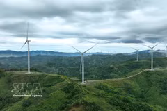 Provincia de Ha Tinh invertirá unos 298 millones de dólares en proyectos eólicos (Foto: VNA)