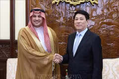 El presidente de Vietnam, Luong Cuong, recibe al embajador de Arabia Saudita, Mohammed Ismaeil A. Dahlwy. (Foto: VNA)