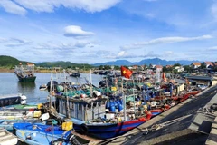 Provincia de Quang Ninh avanza en la lucha contra la pesca ilegal (Foto: VNA)