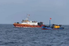 Quang Tri refuerza acciones para levantar “tarjeta amarilla” impuesta al sector pesquero vietnamita. (Foto: VNA)