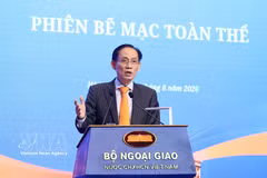 El miembro del Buró Político y ministro de Relaciones Exteriores, Le Hoai Trung. (Foto: VNA)