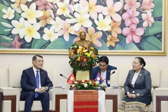 El jefe de la Comisión de Organización del Comité Central del Partido Comunista de Vietnam, Le Minh Hung, en una reunión con su homólogo laosiano, Sisay Leudetmounsone. (Foto: VNA)