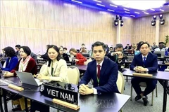 La delegación vietnamita participa activamente en el 43 período de sesiones de la Asamblea General de la UNESCO. (Foto: VNA) 