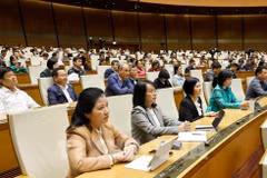 Diputados en la sesión parlamentaria. (Foto: VNA)