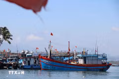 Ciudad Ho Chi Minh refuerza cumplimiento de normativa sobre monitoreo de barcos pesqueros (Foto: VNA)