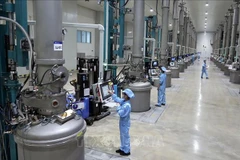 Cadena de producción en la empresa JA Solar Vietnam. (Foto: VNA)