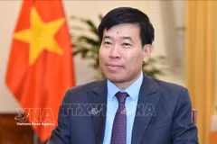 El viceministro de Relaciones Exteriores Nguyen Manh Cuong (Foto: VNA)