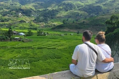 Turistas extranjeros contemplan terrazas de arroz en Vietnam. (Foto: VNA)