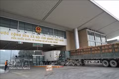 Mercancías despachadas de aduana cruzan el Puesto Fronterizo Internacional Kim Thanh - Lao Cai. (Foto: VNA)