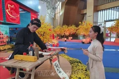 Vietnam muestra la esencia de sus aldeas artesanales en Feria de Primavera 2026