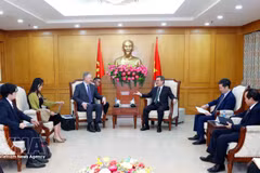 Nguyen Thanh Nghi, jefe de la Comisión de Políticas y Estrategias del Comité Central del Partido Comunista de Vietnam, recibe a dirigente de The Asia Group. (Foto: VNA)