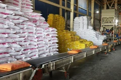 Vietnam supera 7 millones de toneladas de arroz exportado pese a caída de precios. Foto: VNA