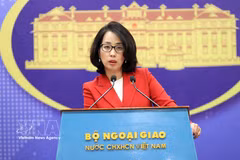 La portavoz de la Cancillería de Vietnam, Pham Thu Hang. (Foto: VNA)