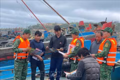 Las tropas de guardia fronteriza coordinan con la guardia costera para realizar propaganda sobre la lucha contra la pesca ilegal, no declarada y no reglamentada en el muelle de Bach Long Vy. (Foto: VNA)