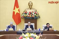 La Asamblea Nacional de Vietnam debate iniciativas clave. (Foto: VNA)