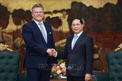 El viceprimer ministro de Vietnam Bui Thanh Son recibe al comisario de Comercio y Seguridad Económica de la Unión Europea, Maros Sefcovic. (Foto: VNA)
