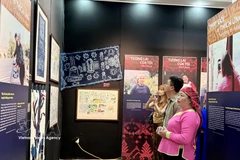 La exposición titulada “Sembrar lo verde en la cima de las nubes” (Foto: VNA)