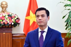 El viceministro de Relaciones Exteriores Dang Hoang Giang. (Foto: VNA)