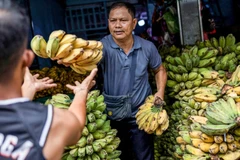 Foto ilustrativa (Fuente: Reuters)