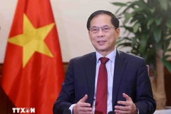 Eel viceprimer ministro Bui Thanh Son (Foto: VNA)