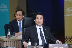 El presidente de Vietnam, Luong Cuong. (Foto: VNA)