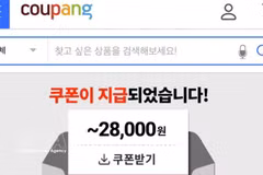 El portal coupang.com de Corea del Sur. (Foto: VNA)