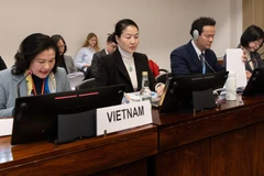 La viceministra vietnamita del Interior, Nguyen Thi Ha, presenta el noveno informe nacional ante el Comité de las Naciones Unidas (ONU) para la Eliminación de la Discriminación contra la Mujer (Foto: VNA)