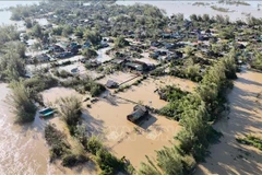 El tifón Bualoi ha causado graves pérdidas humanas y materiales en las regiones del Norte y Centro de Vietnam. (Foto: VNA)