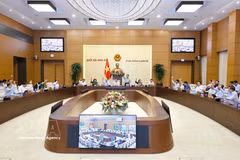 Comité Permanente del Parlamento respalda creación de nuevas ciudades (Foto: VNA)