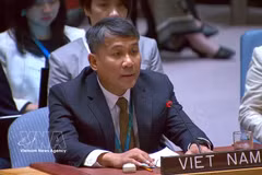 El viceministro permanente de Relaciones Exteriores de Vietnam, Nguyen Minh Vu. (Foto: VNA)