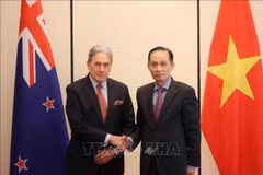 Los ministros de Relaciones Exteriores de Vietnam y Nueva Zelanda. (Foto: VNA)
