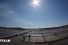 El turismo devuelve la vida a las salinas de Sa Huynh (Foto: VNA)