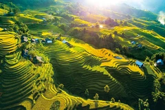 Las terrazas del arroz en Sapa