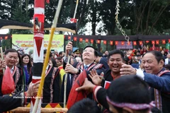 El viceprimer ministro Mai Van Chinh participa en el evento “Colores de Primavera en toda la Nación”. (Foto: VNA)
