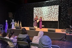 Una actuación artistica en el festival. (Foto: VNA)