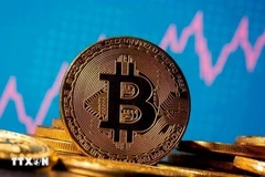 Vietnam lanza mercado piloto de criptoactivos con visión internacional (Foto: VNA)
