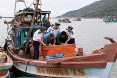 Propietarios de embarcaciones pesqueras firman su compromiso de no incurrir en la pesca IUU. (Foto: VNA)