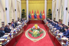 El presidente de Vietnam, Luong Cuong, sostiene conversaciones con su homólogo sudafricano, Matamela Cyril Ramaphosa. (Foto: VNA)